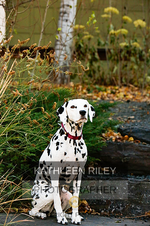 2021-KathleenRileyPhotography-6722
