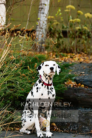 2021-KathleenRileyPhotography-6723