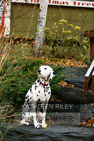 2021-KathleenRileyPhotography-6725