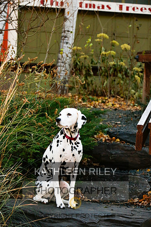 2021-KathleenRileyPhotography-6730