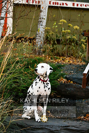 2021-KathleenRileyPhotography-6731
