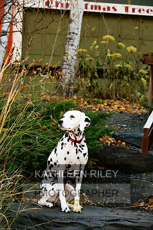 2021-KathleenRileyPhotography-6733