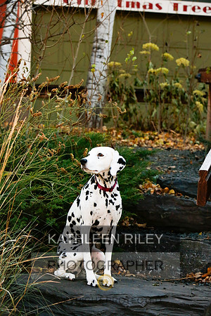 2021-KathleenRileyPhotography-6735