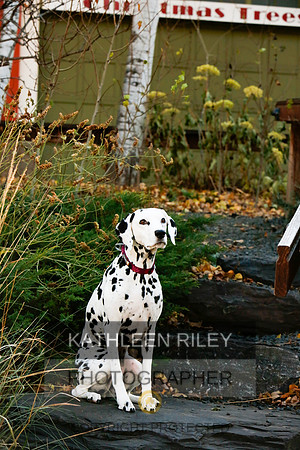 2021-KathleenRileyPhotography-6737