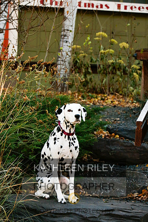 2021-KathleenRileyPhotography-6739