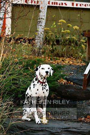 2021-KathleenRileyPhotography-6741