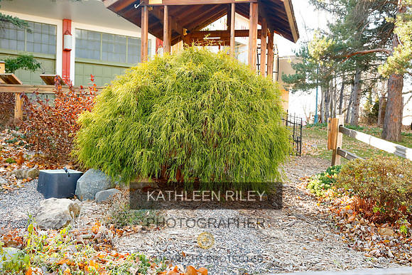 2021-KathleenRileyPhotography-6756