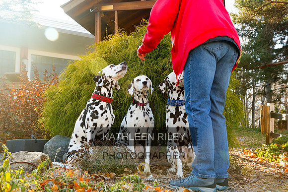 2021-KathleenRileyPhotography-6762