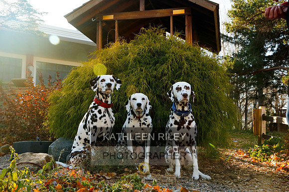 2021-KathleenRileyPhotography-6766