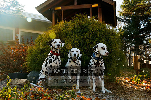 2021-KathleenRileyPhotography-6768