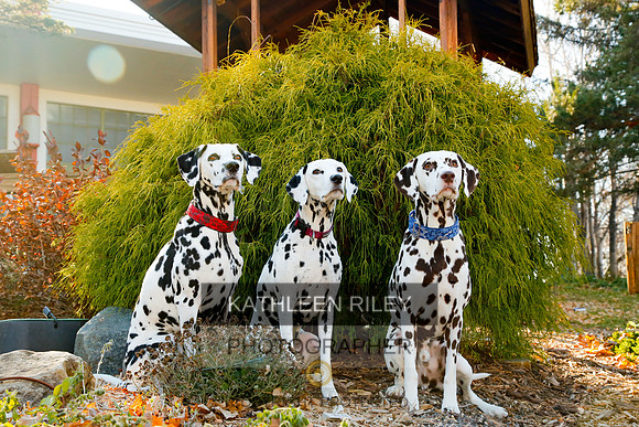 2021-KathleenRileyPhotography-6780