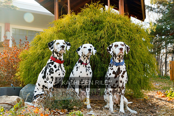 2021-KathleenRileyPhotography-6781