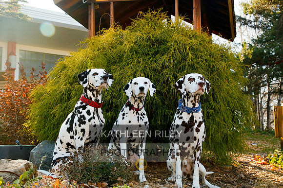 2021-KathleenRileyPhotography-6783