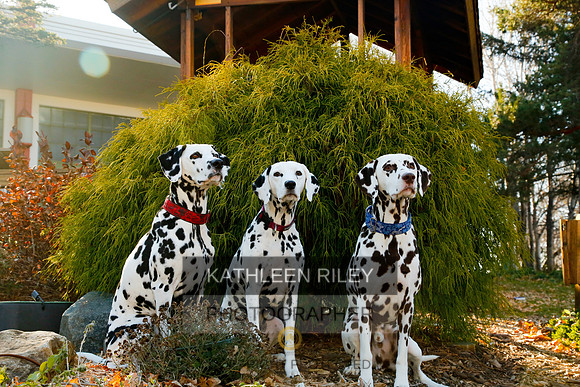 2021-KathleenRileyPhotography-6784