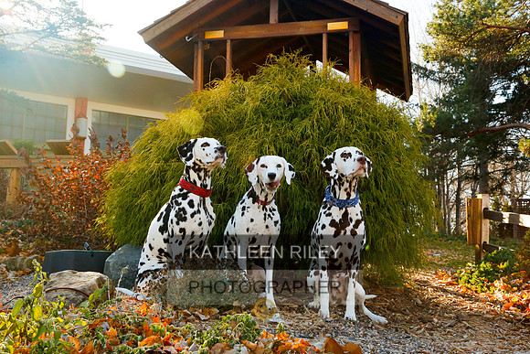 2021-KathleenRileyPhotography-6790