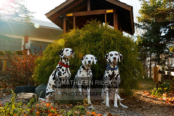 2021-KathleenRileyPhotography-6798