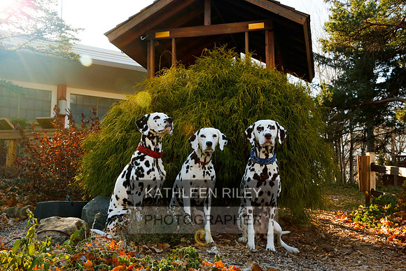 2021-KathleenRileyPhotography-6799