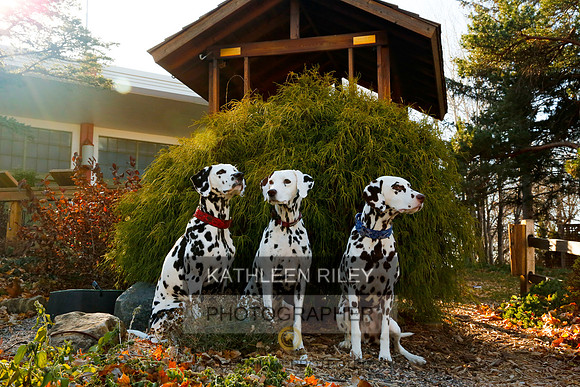 2021-KathleenRileyPhotography-6806