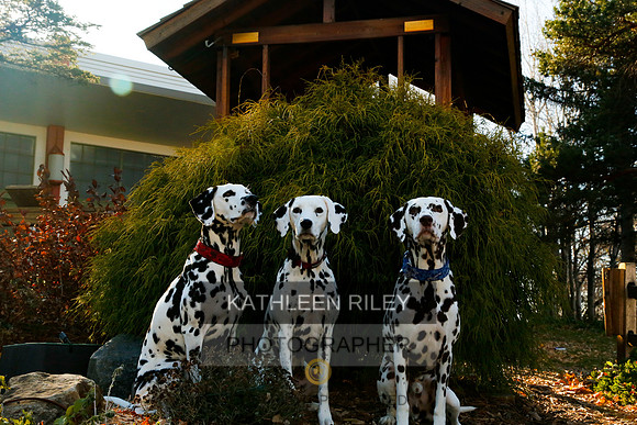 2021-KathleenRileyPhotography-6816