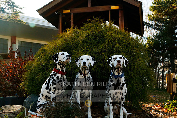 2021-KathleenRileyPhotography-6821