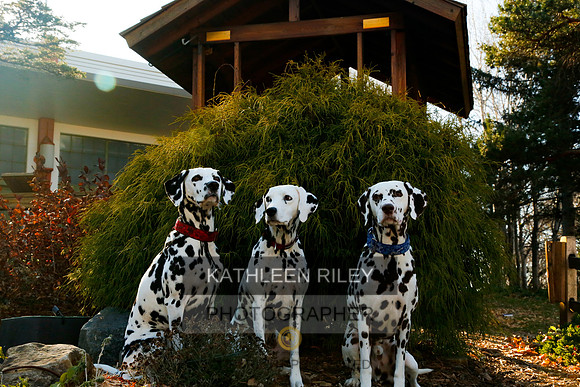 2021-KathleenRileyPhotography-6826