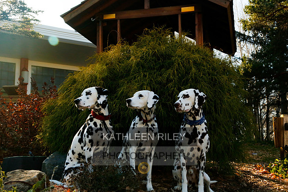 2021-KathleenRileyPhotography-6828