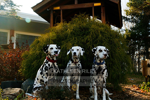 2021-KathleenRileyPhotography-6831