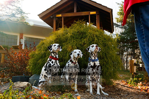2021-KathleenRileyPhotography-6839