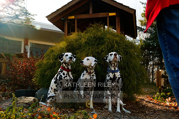 2021-KathleenRileyPhotography-6845