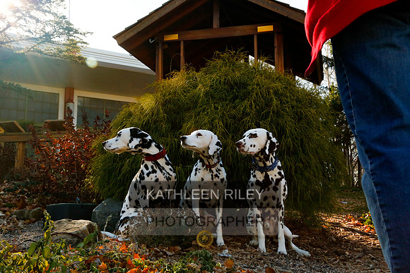 2021-KathleenRileyPhotography-6850