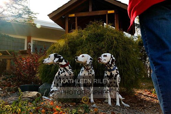 2021-KathleenRileyPhotography-6851