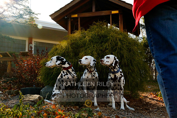 2021-KathleenRileyPhotography-6852