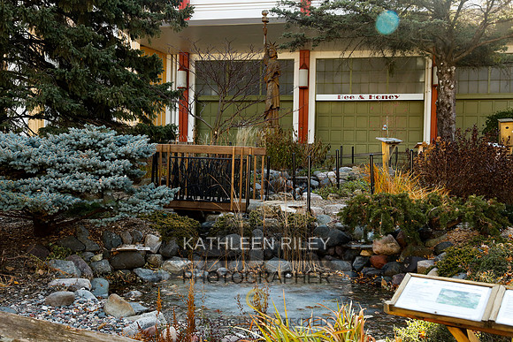 2021-KathleenRileyPhotography-6904