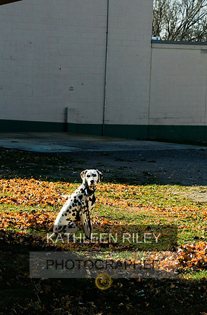 2021-KathleenRileyPhotography-6910