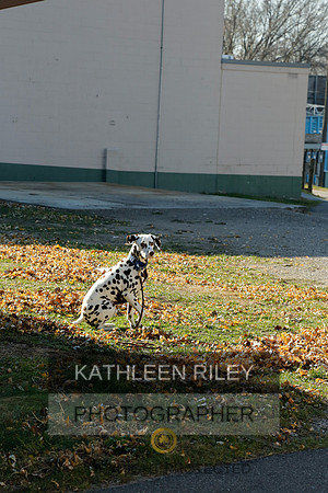 2021-KathleenRileyPhotography-6913