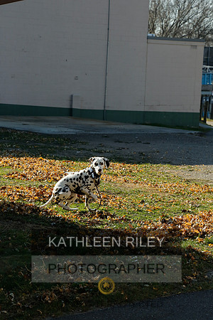 2021-KathleenRileyPhotography-6914