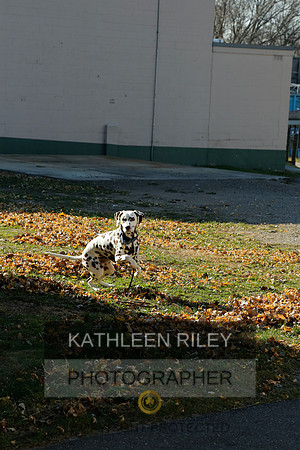 2021-KathleenRileyPhotography-6915