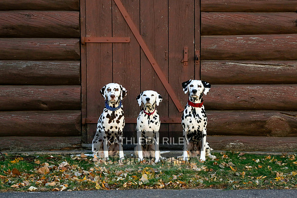 2021-KathleenRileyPhotography-6925