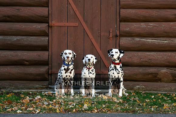 2021-KathleenRileyPhotography-6928