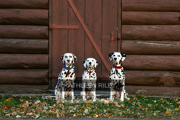 2021-KathleenRileyPhotography-6930
