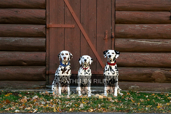 2021-KathleenRileyPhotography-6931