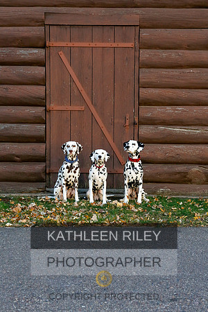 2021-KathleenRileyPhotography-6937