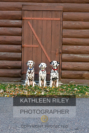 2021-KathleenRileyPhotography-6960