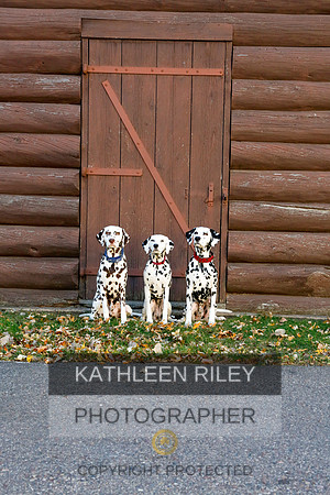 2021-KathleenRileyPhotography-6961