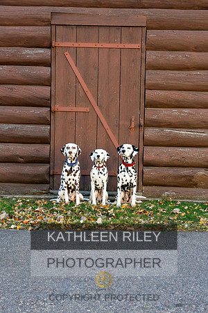 2021-KathleenRileyPhotography-6962