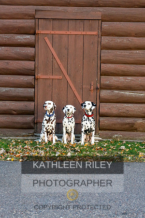 2021-KathleenRileyPhotography-6964