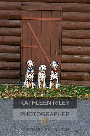 2021-KathleenRileyPhotography-6981