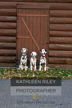 2021-KathleenRileyPhotography-6984