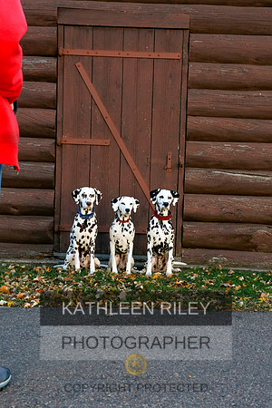 2021-KathleenRileyPhotography-6991
