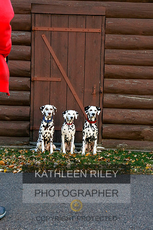 2021-KathleenRileyPhotography-6994